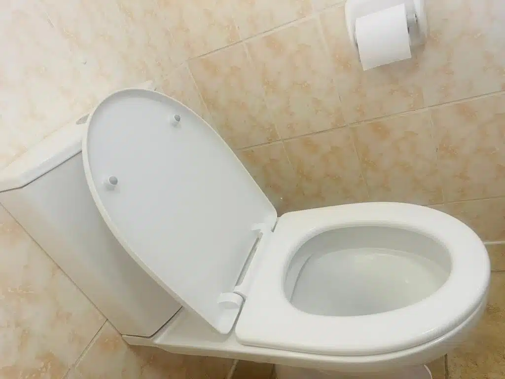 Ultra-Low Flush Toilet